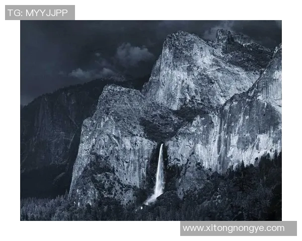 亚当斯的传奇旅程探索他在科学与艺术领域的卓越贡献与影响
