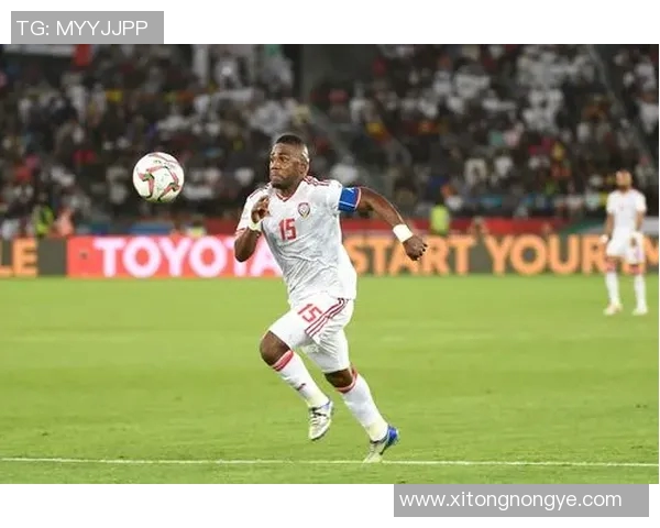 伊朗女排迎战澳大利亚队展开激烈角逐力争在国际赛场上取得佳绩