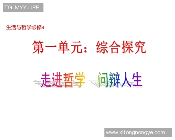 何思雨的成长旅程与人生哲学探索：从校园到职场的蜕变与反思