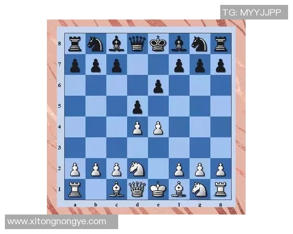 克罗地亚与冰岛角球数对比分析揭示比赛战术与攻防策略 克罗地亚与冰岛角球数对比分析揭示比赛战术与攻防策略