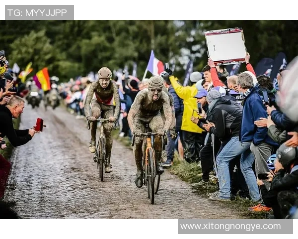 克罗托与维罗纳激战正酣谁能在意甲赛场中笑到最后