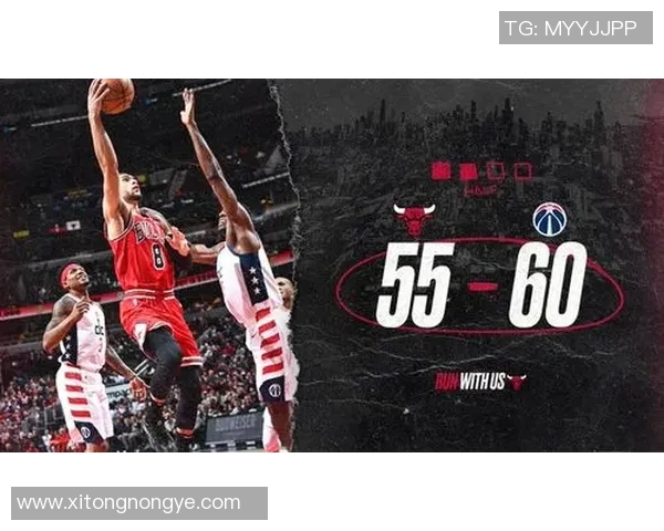 公牛与奇才对决数据深度分析揭示球队优势与劣势