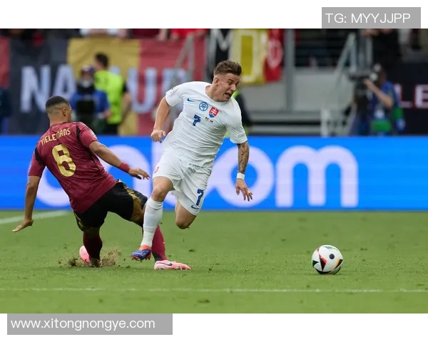 冰岛与比利时足球对决深度分析及战术解读