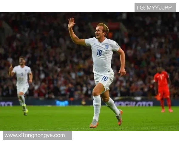 凯恩的传奇旅程：从足球天才到世界瞩目的运动偶像