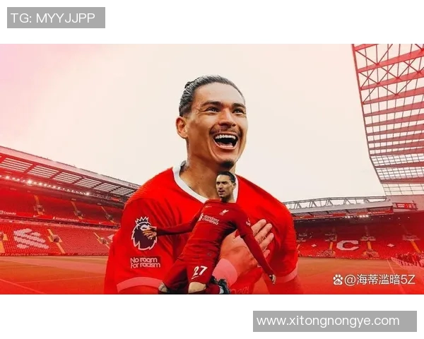 努涅斯在赛场上的崛起与挑战分析及未来发展展望 努涅斯在赛场上的崛起与挑战分析及未来发展展望