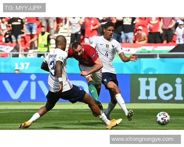 匈牙利与俄罗斯国际赛精彩对决分析与赛前预测