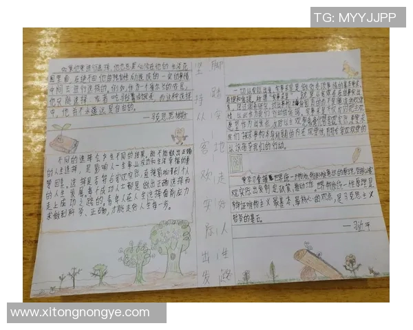 刘铮的奋斗历程与人生哲学探索在现代社会中的启示与影响