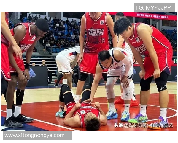 南京同曦迎战辽篮全力争胜双方球员状态分析与比赛前瞻