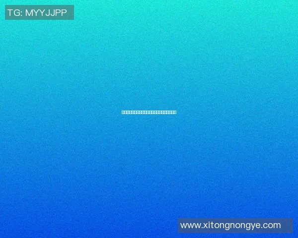 印度与泰国国王杯对决精彩纷呈谁将捧起冠军奖杯