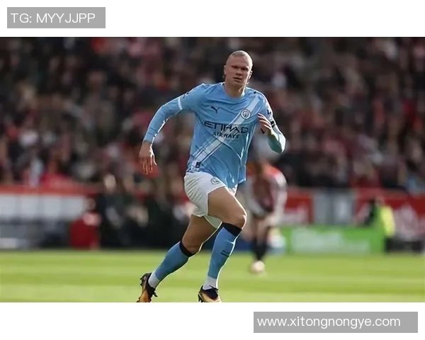 哈兰德：新一代足球天才如何改变现代足球格局与未来发展趋势