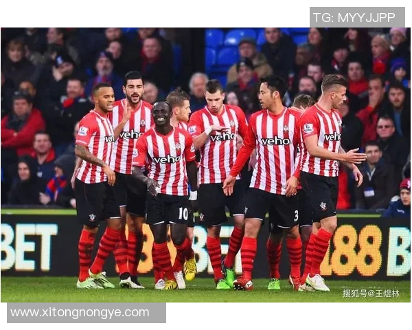 卡利亚里主场迎战费拉拉期待精彩对决与激烈竞争