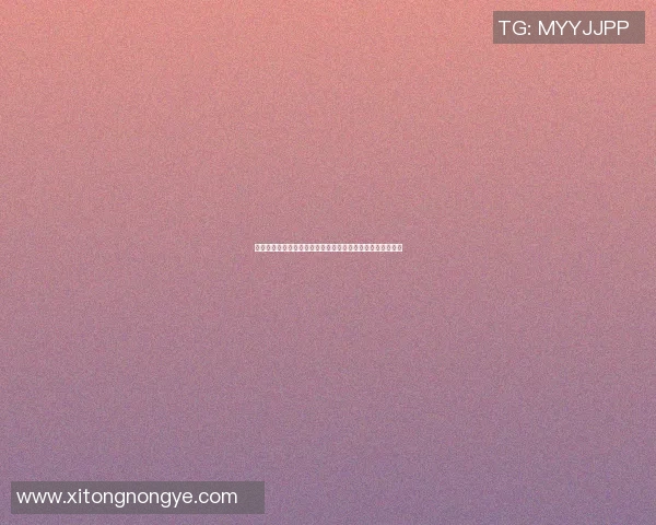 墨尔本城与西部联精彩对决全场录像回放分析与精彩瞬间回顾