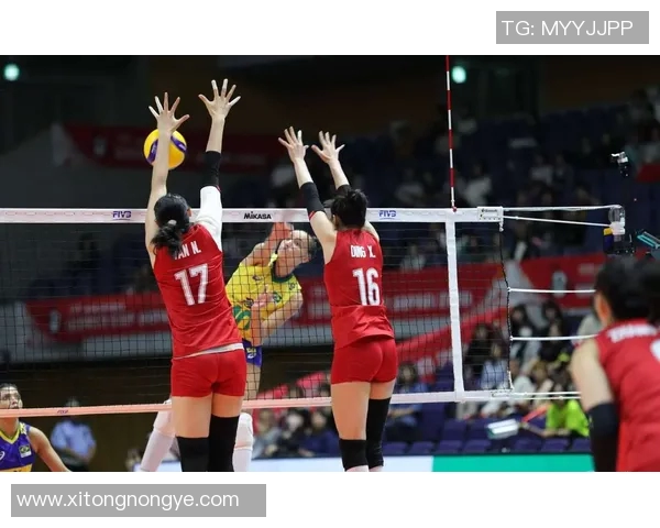 女排对阵巴西精彩比赛录像回顾与精彩瞬间分析