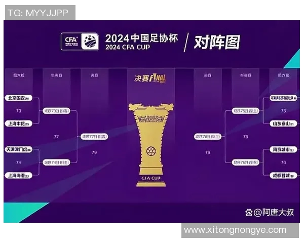 山东与四川的激烈对决11月8日精彩回顾与赛后分析 山东与四川的激烈对决11月8日精彩回顾与赛后分析