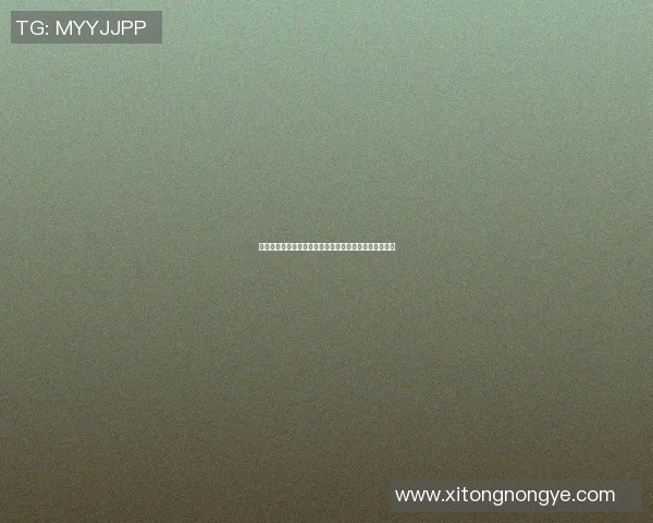 徐晓东与陈前的巅峰对决谁将成为武林新王者的传奇之战