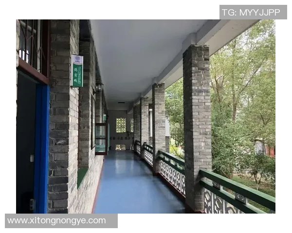 景菡一的成长之路：从初学者到行业翘楚的奋斗故事