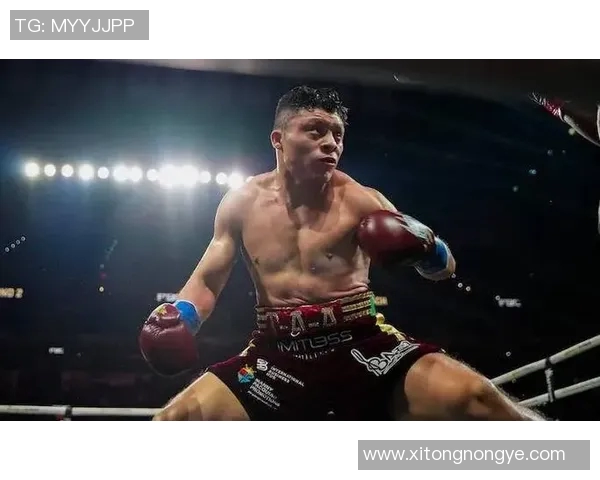 拳击大战戴维斯对决加西亚谁将成为新一代拳坛霸主