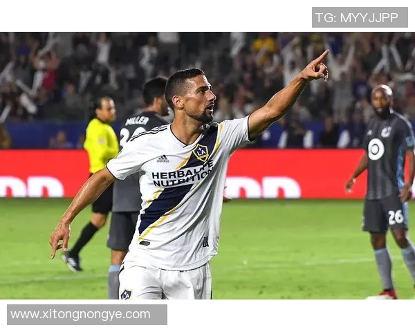 戈亚斯与巴竞技激战正酣比分揭晓精彩瞬间回顾