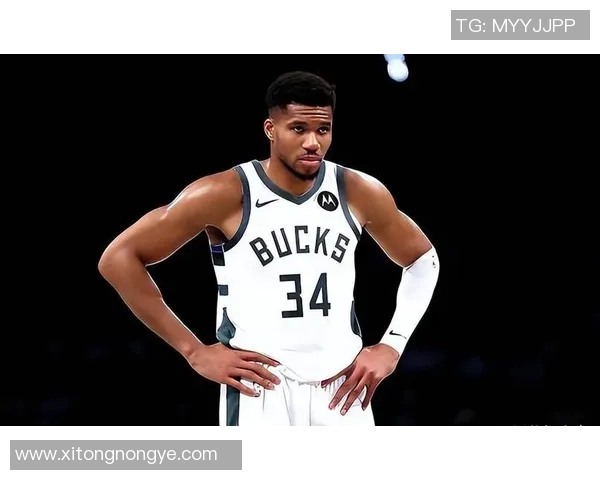 扬尼斯阿德托昆博的篮球传奇之路与未来展望