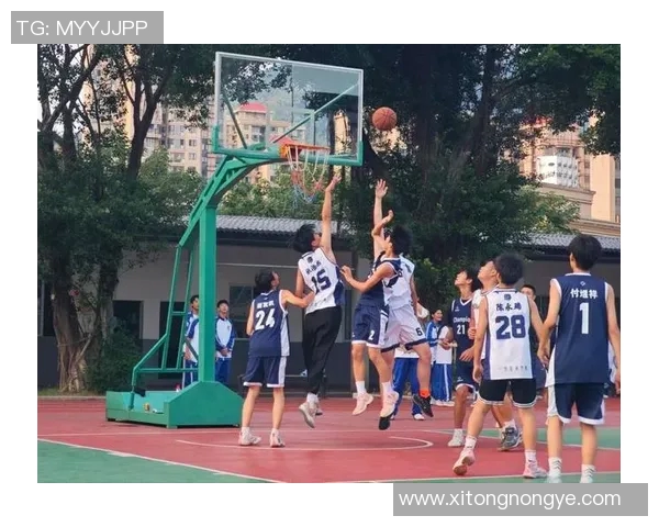 李晓旭的成长之路：从普通学生到篮球场上的明星之旅