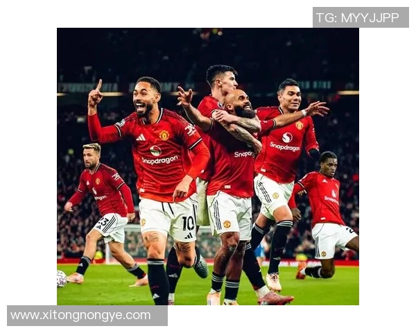 曼联主场迎战埃弗顿期待红魔重振雄风再创佳绩