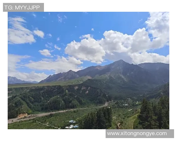 河床与波诺特山丘的奇妙对话探索自然与人文的交融之美