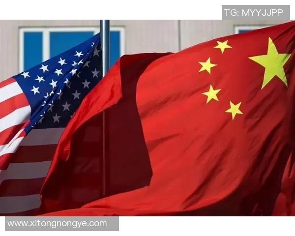 澳大利亚与阿联酋激战正酣足球盛宴引发全球关注与热议 澳大利亚与阿联酋激战正酣足球盛宴引发全球关注与热议