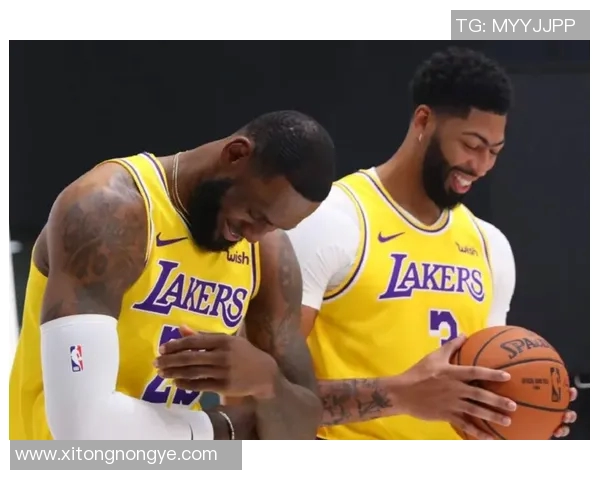 詹姆斯与戴维斯精彩对决视频回顾分析全场亮点与精彩瞬间分享