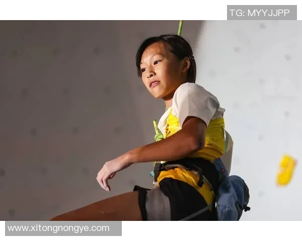 重庆攀岩队在全国攀岩状态排行榜中荣获第八名的佳绩引发关注