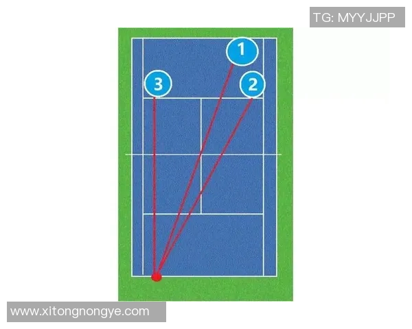 重庆网球队在选拔赛中的战术表现分析与点评探讨 重庆网球队在选拔赛中的战术表现分析与点评探讨