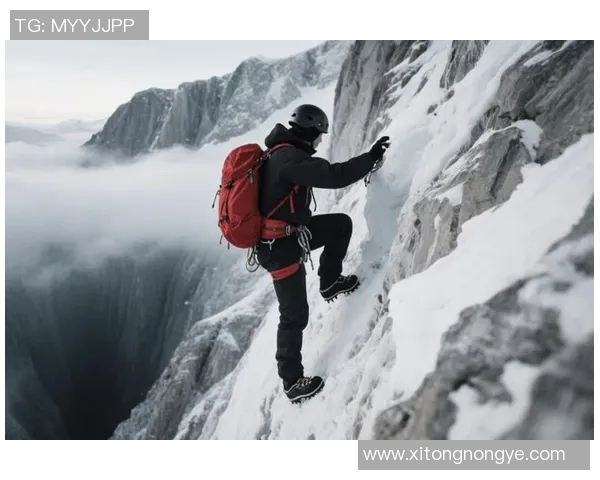 重庆极限运动队的团队协作探索与挑战极限运动的魅力与精神