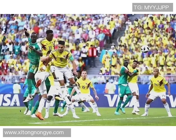 阿根廷与哥伦比亚激战在即球迷期待精彩对决与历史交锋