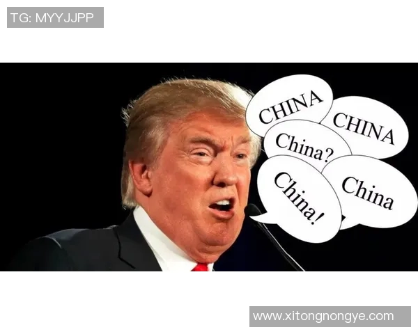 钟诚的成长之路：从青涩少年到职场精英的奋斗历程与心路历程