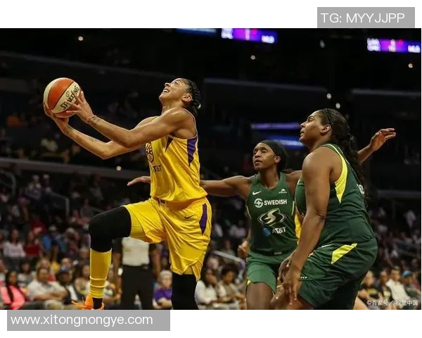 风暴与火花激烈对决在线直播精彩瞬间不容错过 风暴与火花激烈对决在线直播精彩瞬间不容错过