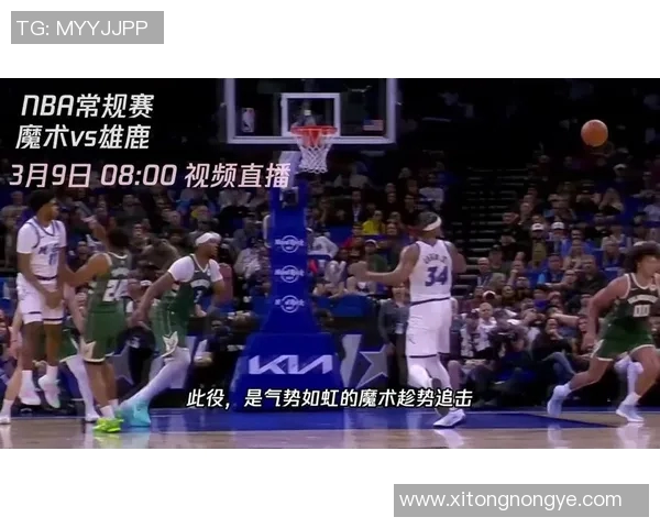 魔术对阵雄鹿精彩视频直播全程回顾与赛后分析