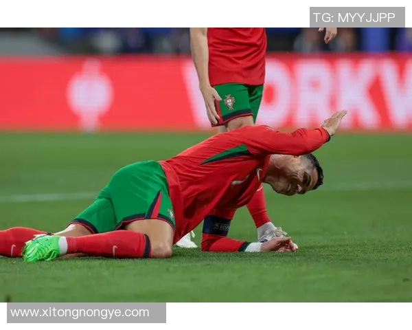 2015年葡萄牙与法国激战回顾：足球盛宴中的精彩瞬间与战术分析