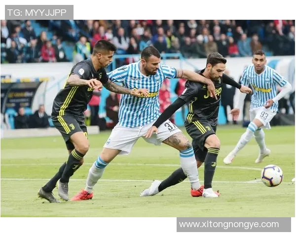 2018年尤文图斯对阵斯帕尔的精彩对决回顾与分析 2018年尤文图斯对阵斯帕尔的精彩对决回顾与分析