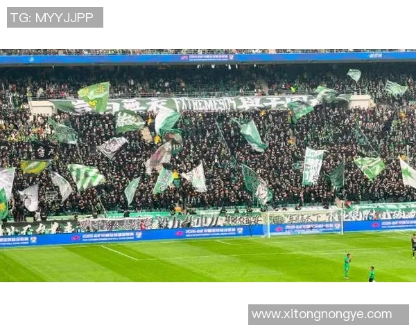 上海申花与北京国安激战在即球迷期待精彩对决与激情时刻 上海申花与北京国安激战在即球迷期待精彩对决与激情时刻