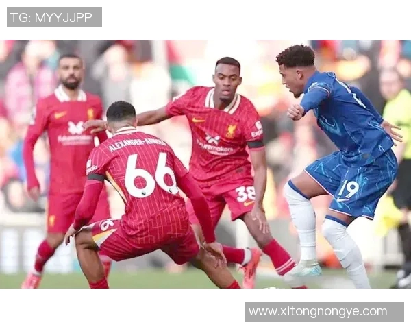 利物浦与切尔西联赛杯精彩对决视频回顾与赛后分析