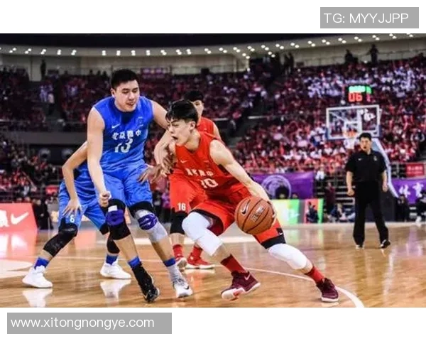 曾凡博的篮球之路：从青涩少年到璀璨明星的成长故事